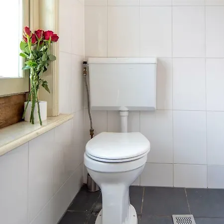 Spacious Central City With Big Private Sundeck! Lägenhet Amsterdam